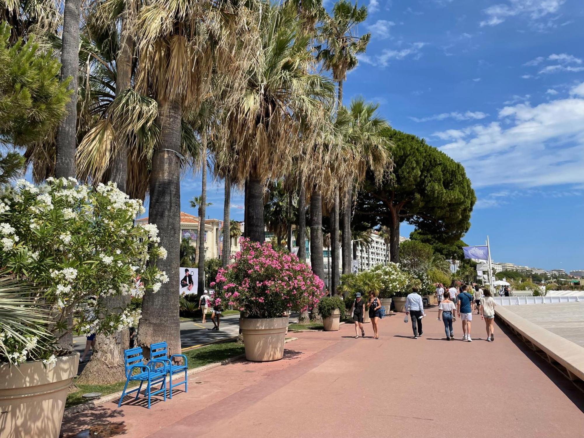 Beautiful Apartment Cannes Center Terrace Parking 외부 사진